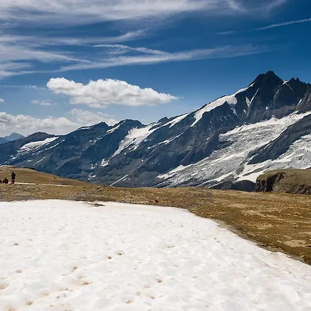 Pensión Alpenrose - Feriendomizile Pichler