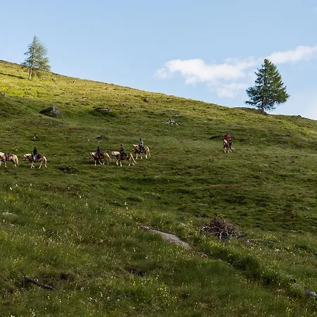 Landhaus Alpenrose - Feriendomizile Pichler 2* Heiligenblut