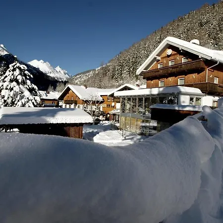 Pensionat Alpenrose - Feriendomizile Pichler 3*