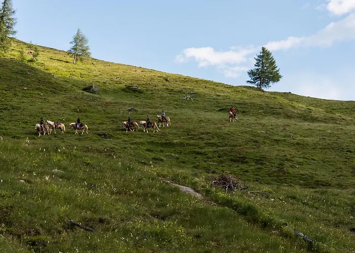 Landhaus Alpenrose - Feriendomizile Pichler 3* Хайлигенблут