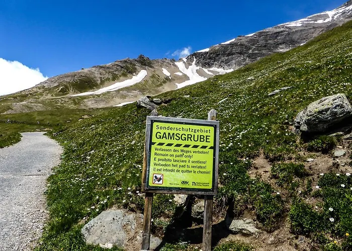 Landhaus Alpenrose - Feriendomizile Pichler Guest house Heiligenblut